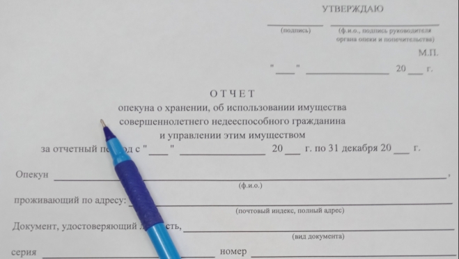 В Марий Эл весь январь идет прием отчетов от опекунов