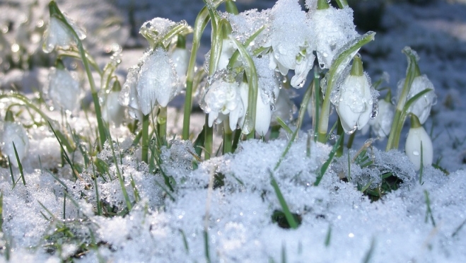 В Марий Эл весна уверенно набирает обороты