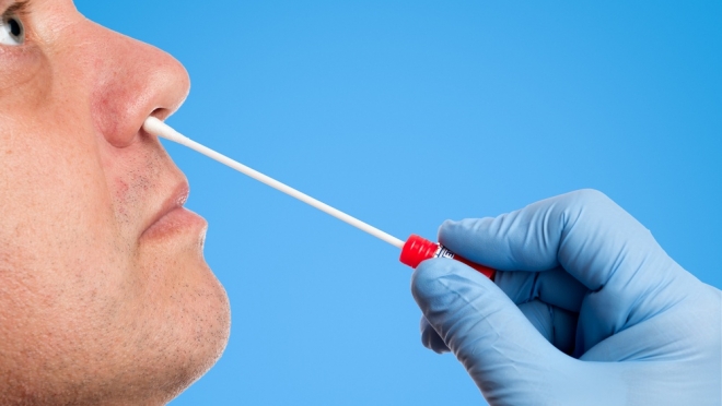 Антимонопольная служба проверит цены на ПЦР-тесты