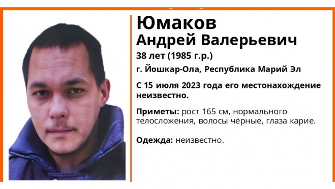 В Марий Эл с лета ищут пропавшего жителя Йошкар-Олы