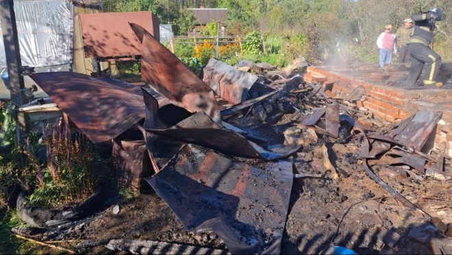 В Марий Эл в сгоревшем садовом домике нашли скелетированные останки человека