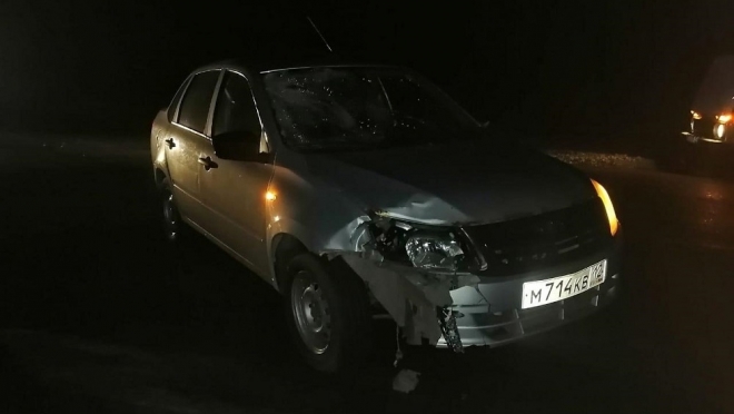 В Новоторъяльском районе 25-летний водитель насмерть сбил пешехода