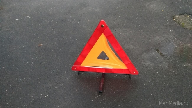 В Марий Эл сбили двух школьниц