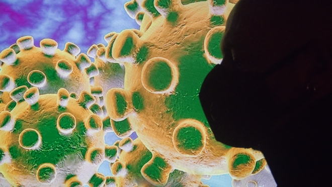 Ежедневно цифры заражения COVID-19 продолжают расти