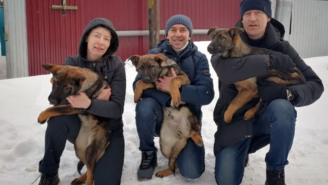 В Марий Эл привезли щенков из племенного питомника служебного собаководства