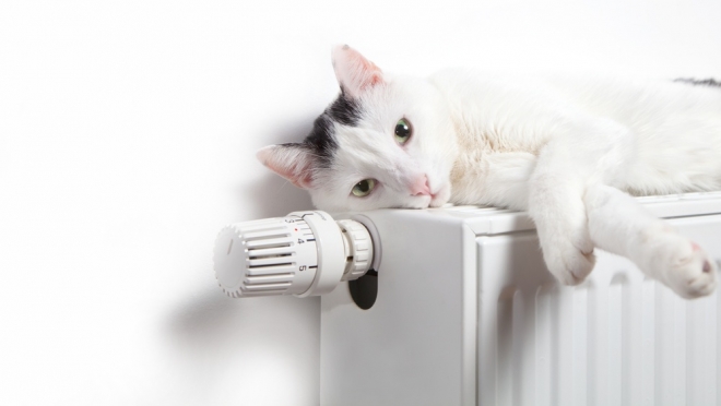 В мэрии Йошкар-Олы планируют отключить отопление