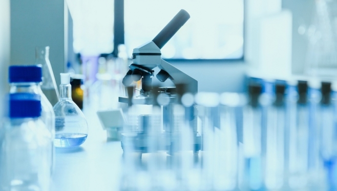 В Медведевском районе отменили карантин по бешенству