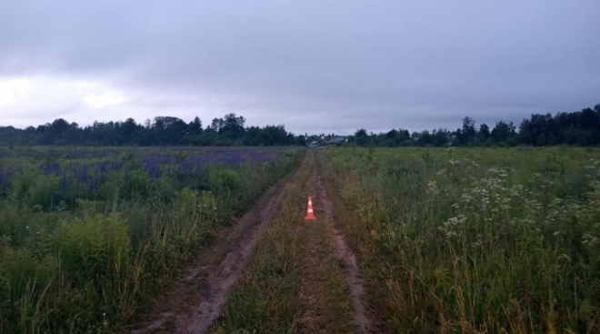 В Марий Эл по вине пьяного мотоциклиста погибла 19-летняя девушка