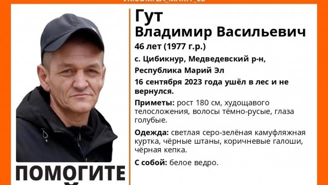 Житель Марий Эл ушёл в лес и не вернулся