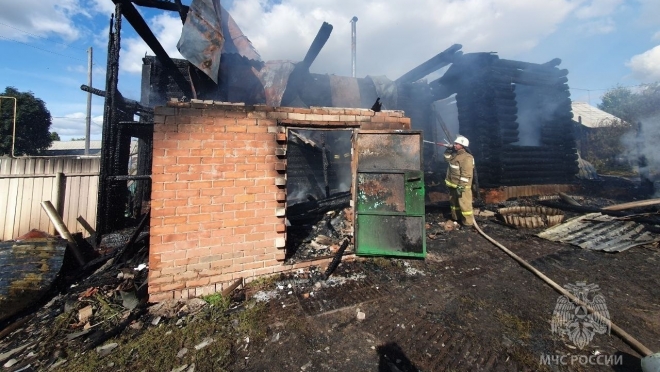 В Горномарийском районе с сильного пожара в частном хозяйстве спасли животных