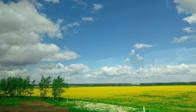 Большая часть жителей Марий Эл предпочитают отдыхать в России