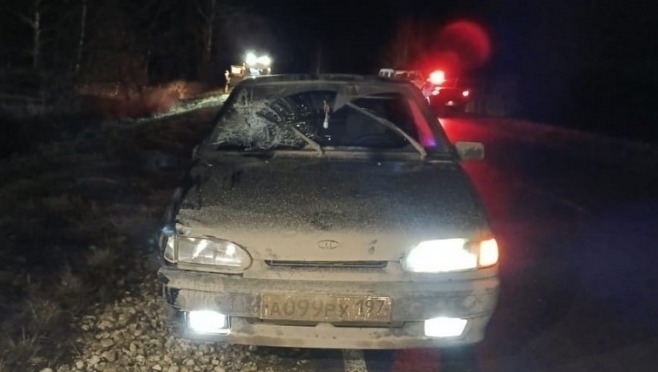 В Горномарийском районе на загородной дороге сбили пешехода