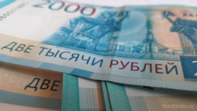 Задолженность по заработной плате в Марий Эл за месяц снизилась в 2,2 раза