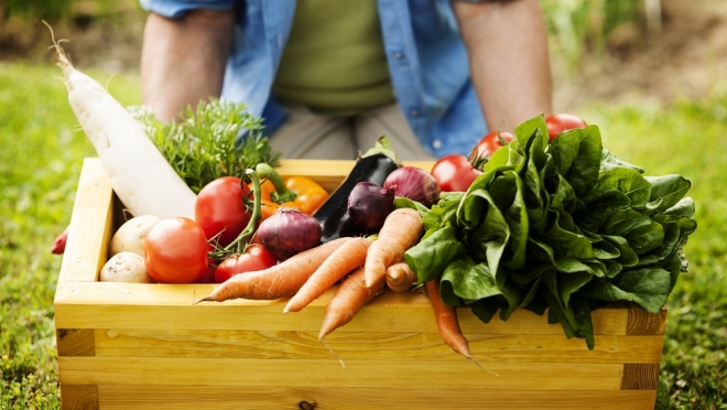 В Йошкар-Оле садоводы-любители соберутся на очередную встречу