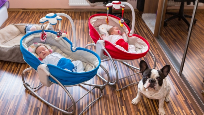 В октябре в Марий Эл родились 282 девочки и 267 мальчиков