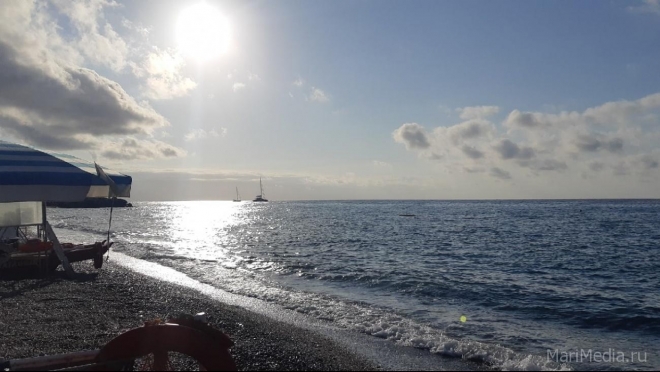 Туроператоры предупредили туристов из Марий Эл о нашествии акул у берегов популярных курортов в Египте