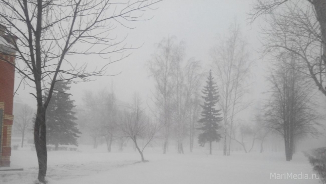 Сегодня в Марий Эл прогнозируют сильный снег и метель