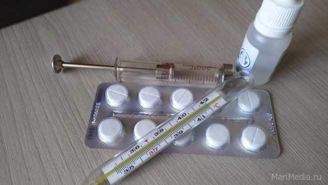 В Марий Эл в подростковой среде превышен эпидемический порог по ОРВИ