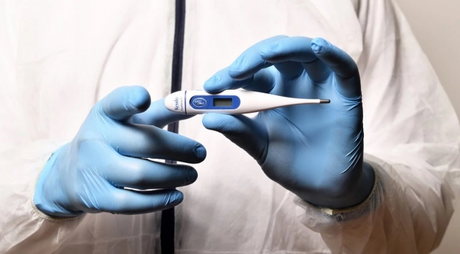 Туристов с круизного лайнера Diamond Princes доставили в Казань