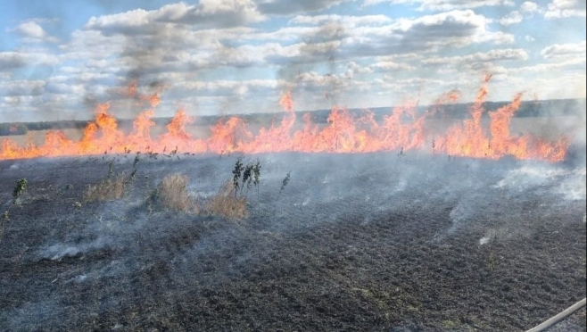 Пожар с пшеничного поля угрожал перекинуться на деревню Большие Ноли в Марий Эл