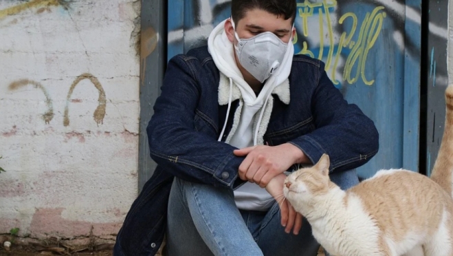 В Москве у кошки диагностировали коронавирус