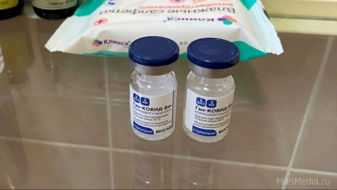 В Марий Эл поступили рефрижераторы для перевозки вакцины