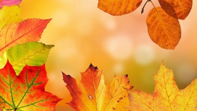 ЕГЭ могут перенести на осень