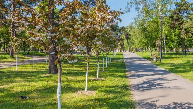 В выходные Марий Эл накроет холодный фронт