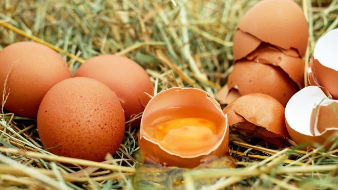 В Марий Эл упало производство яиц