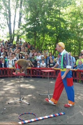 Цирковое представление