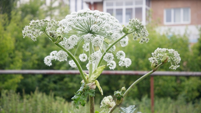 Владельцам земельных участков грозят новые штрафы в 2026 году