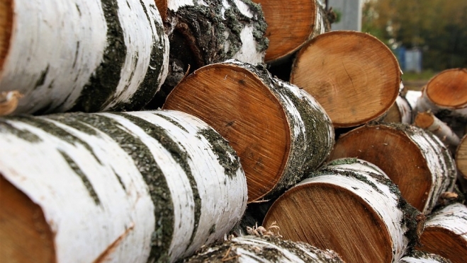 Бизнесмен из Марий Эл сбывал в Восточную Азию стратегически важные ресурсы