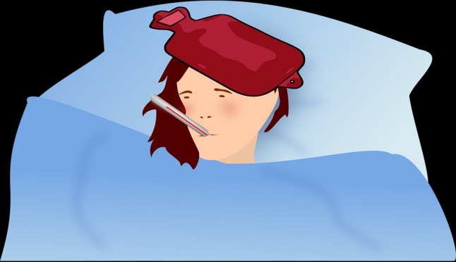 В Марий Эл диагностированы первые случаи гриппа