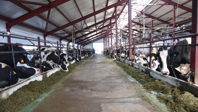 В Марий Эл фермы и птицефабрики готовят к зиме