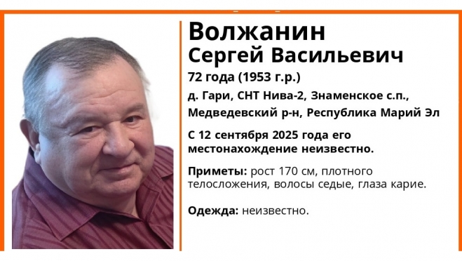 Три дня назад в Марий Эл пропал 72-летний житель деревни Гари