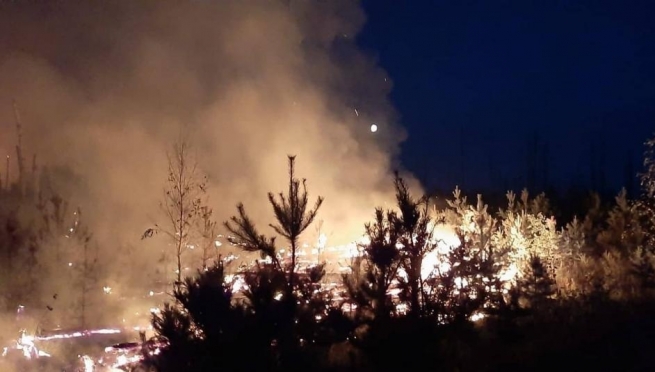 На территории лесного фонда Марий Эл произошло 24 пожара в этом году