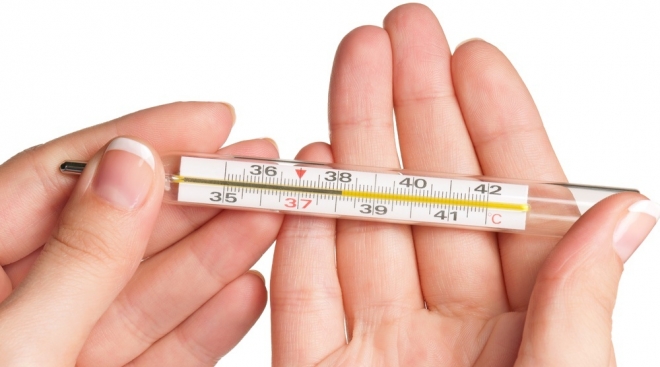 В Марий Эл на треть сократилось количество заболевших ОРВИ и гриппом