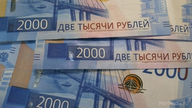 Жительница Йошкар-Олы позволила лжебанкирам списать деньги с карты