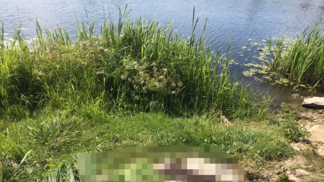 В Йошкар-Оле в Малой Кокшаге нашли тело пропавшего 18-летнего парня
