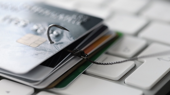 Ни палатки, ни денег: йошкаролинца развели на сайте объявлений