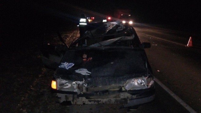 На 62 км автодороги «Вятка» автомобиль сбил лося
