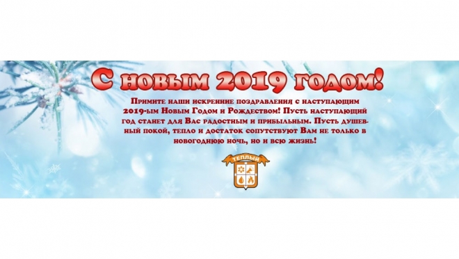 С Новым 2019 годом!