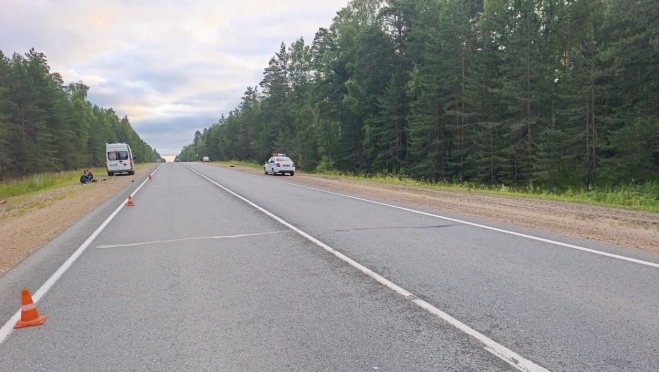 Ночью на трассе в Звениговском районе насмерть сбили 23-летнюю девушку