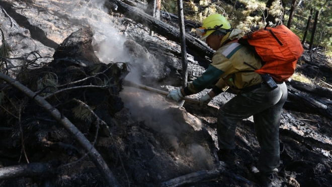 В выходные лесных пожаров в Марий Эл не прогнозируется