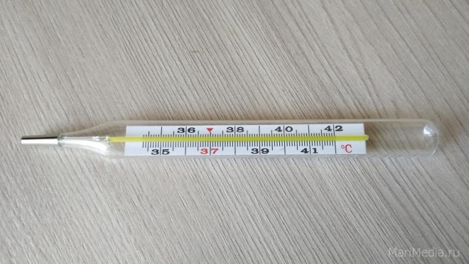 В Марий Эл продолжают регистрировать грипп, ОРВИ и коронавирус