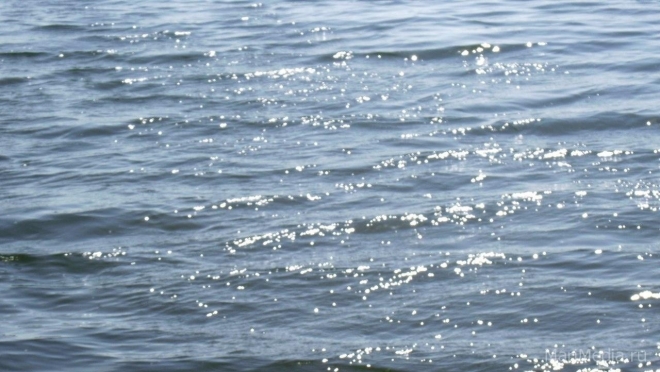 В Звениговском районе на Волге столкнулись теплоход с маломерным судном «Воронеж»