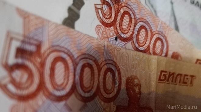 Четыре жительницы Марий Эл перевели лжебанкирам 1 млн рублей