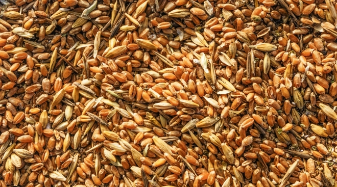 Россельхознадзор досмотрел корма и кормовые добавки, экспортируемые из Марий Эл