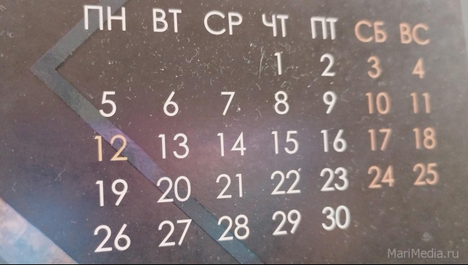 Антон Котяков: «Шестидневки в Трудовом кодексе не будет»