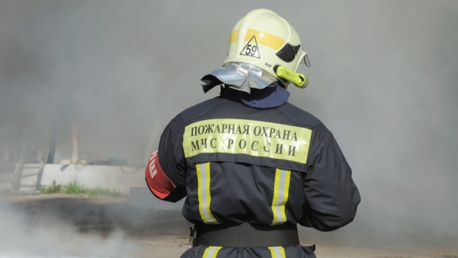 Сегодня утром у деревни Ельняги в Медведевском районе сгорел автомобиль